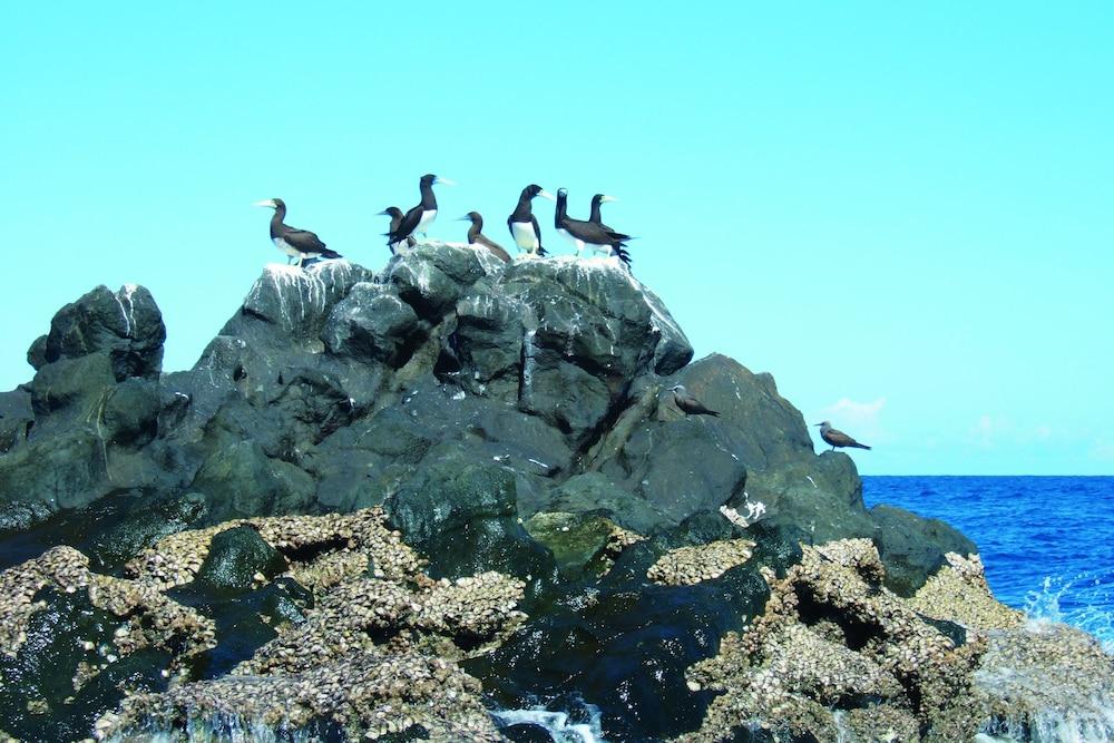Constance Tsarabanjina Otel Tsarabanjina Island Dış mekan fotoğraf